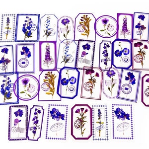 30 Stück lila Blumen klar Aufkleber, Botanicals PVC Aufkleber, Scrapbooking, getrocknete Blätter Aufkleber, getrocknete Botanicals, Garten, Rahmen
