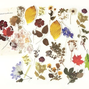 60 Stück Blumen Große Washi Aufkleber, Botanicals, Junk Journal Kit, Journal Ephemera, Natur, Garten, getrocknete Blume, Blatt, Herbstblätter