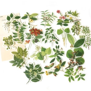 60 Stück Blätter Washi Aufkleber, grüne Blätter, Junk Journal Kit, Ephemera, Botanicals, Blumen, Sommer, Natursammlung, Garten, Grün