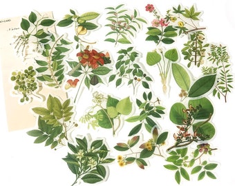 60 Pcs Leaves Washi Sticker, Green Leaves, Junk Journal Kit, Ephemera, Botanicals, Flowers, Summer, Nature Collection, Garden, Greenery