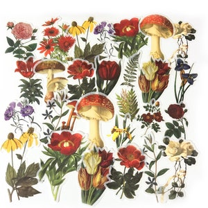 60 Stück Retro Blumen Große Washi Aufkleber, Pilz, Junk Journal Kit, Journal Ephemera, Botanicals, Sommer, Natur Kollektion, Garten, Fungi