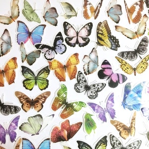 Grand lot de 60 stickers papillon, papillons, royaume des insectes, ailes découpées, papillon monarque, kit de journal indésirable, éphémères