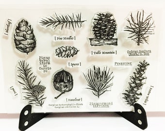 Pinecone Stamp, Hazelnut Clear Transparent Stamp, Botanicals Rubber Stamp, Planner journal, Nature, Pine Needles, Acorn, Autumn, Nut