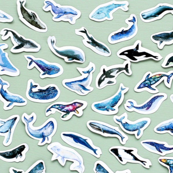 45 Pcs Whale Sticker, Whales Sticker, Under the Sea Filofax Stickers, Scrapbook, Ocean Life Schedule Sticker, Marine Animals, Mammals