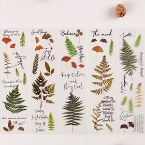 10 Stück Farnblatt Aufkleber, grüne ästhetische klare Aufkleber, , Scrap-Buchung, Journal, Blätter, Natur, Botanicals, Farne