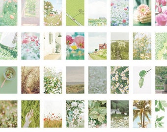 50 Pcs Green Aesthetic Washi Sticker, Sticker Pad, Booklet, Travel Journal, Scenery, Flower Fields, Floral, Flowers, Garden, Plants,Greenery