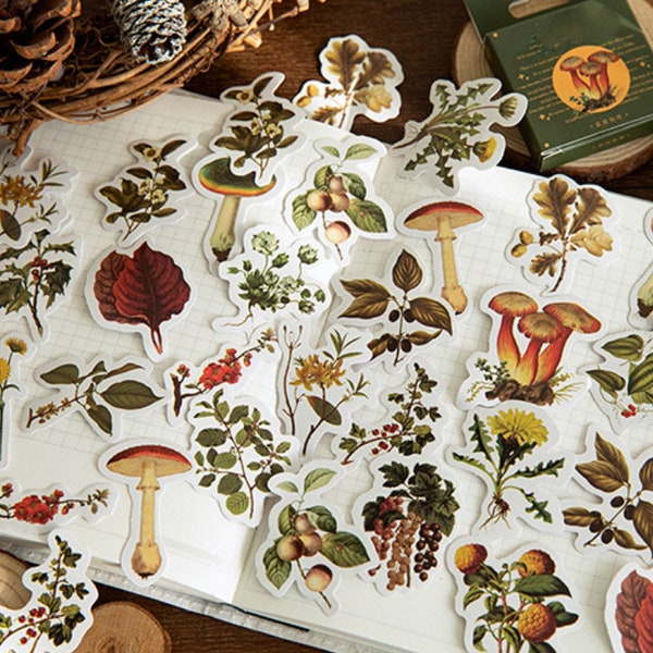 45 Pcs Vintage Forest Mushroom Planner Sticker, Botanicals Sticker Flakes,  Sticker, Scrap booking, Leaves, Flowers, Fungi, Grasses