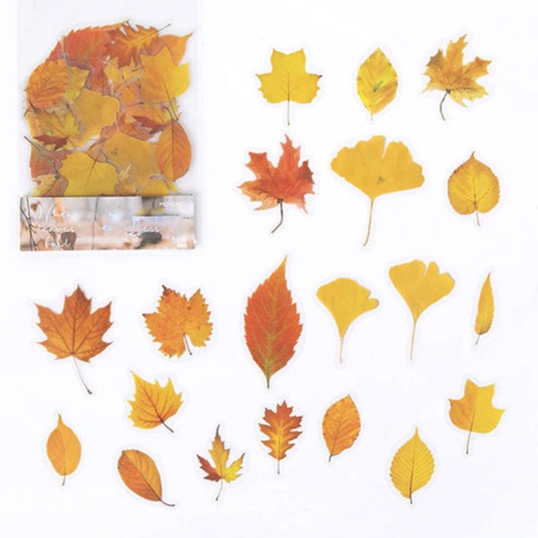 40 Pcs Autumn Leaf Clear Sticker, Autumn Fall Clear Sticker, journal, Ephemera, Leaves, Dried Leaf, Ginkgo Leaf, Ginkgo biloba