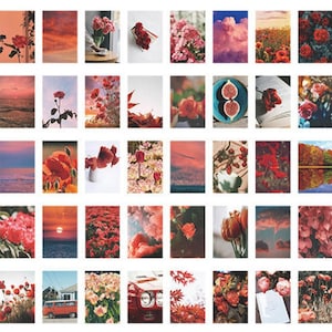 50 Stück rote Ästhetik Washi Sticker, Stickerpad, Booklet, Reisetagebuch, Blumen, Rosen, Felder, Landschaft, Himmel, Wolken, Meer, Urlaub