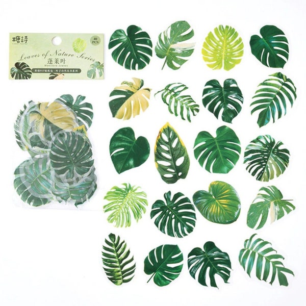 40 Pcs Monstera Leaf Clear Sticker, journal, Junk Journal Kit, Resin, Leaf, Botanicals, Summer, Tropical Leaves, Green, Garden