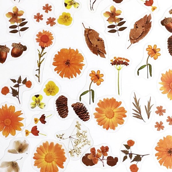 40 Pcs Orange Flowers Clear Sticker, Floral Clear Sticker, Junk Journal Kit, Dried Leaf, Acorn, Pine Cone, Autumn Fall, Gerbera