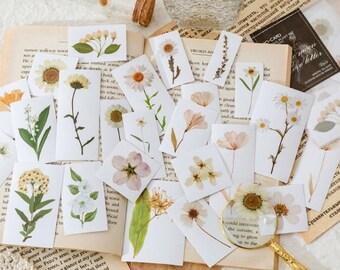 25 Pcs Pressed White Flowers Clear Sticker, Floral PVC Sticker, Scrapbooking,  Flora Fauna Sticker, Botanicals, Daisy, Daisies, Florist