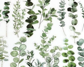 40 Pcs Eucalyptus Leaf Clear Sticker, Leaves Clear Sticker,  Stickers, Scrap booking, journal, Eucalyptus leaves, Sprig