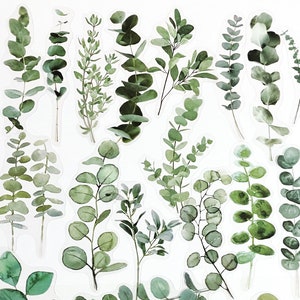 40 Pcs Eucalyptus Leaf Clear Sticker, Leaves Clear Sticker,  Stickers, Scrap booking, journal, Eucalyptus leaves, Sprig