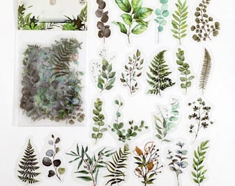 40 pegatinas transparentes de hojas verdes, helechos, diario, diario basura, arte de resina, efímera, vegetación, hojas de helecho, eucalipto, tropical, hoja