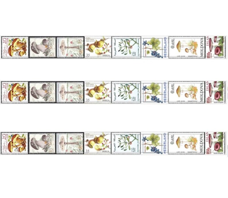 Flowers Nature Forest Mushroom Tape Floral Bullet Journal Botanicals Garden Retro Mushrooms Woodland Wild Mushroom Fungi Tape