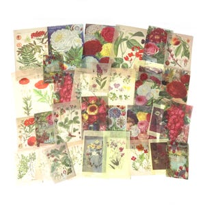 60 Stück Retro Blumen Große Washi Aufkleber, Blätter Aufkleber, Junk Journal, journal, Ephemera, Vintage Botanicals, Blumen, Garten, Blatt