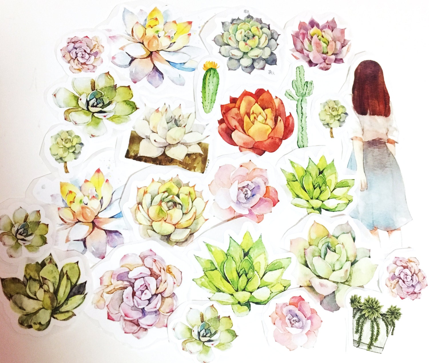 23 pcs nature autocollant flocons de sticker cactus etsy