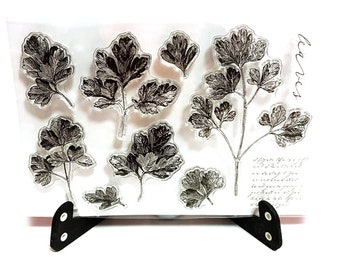 Parsley Leaves Stamp, Clear Transparent Stamp, Leaf Rubber Stamp, Planner journal, Nature, Herb, Sprig, Garden, Parsley Leaf