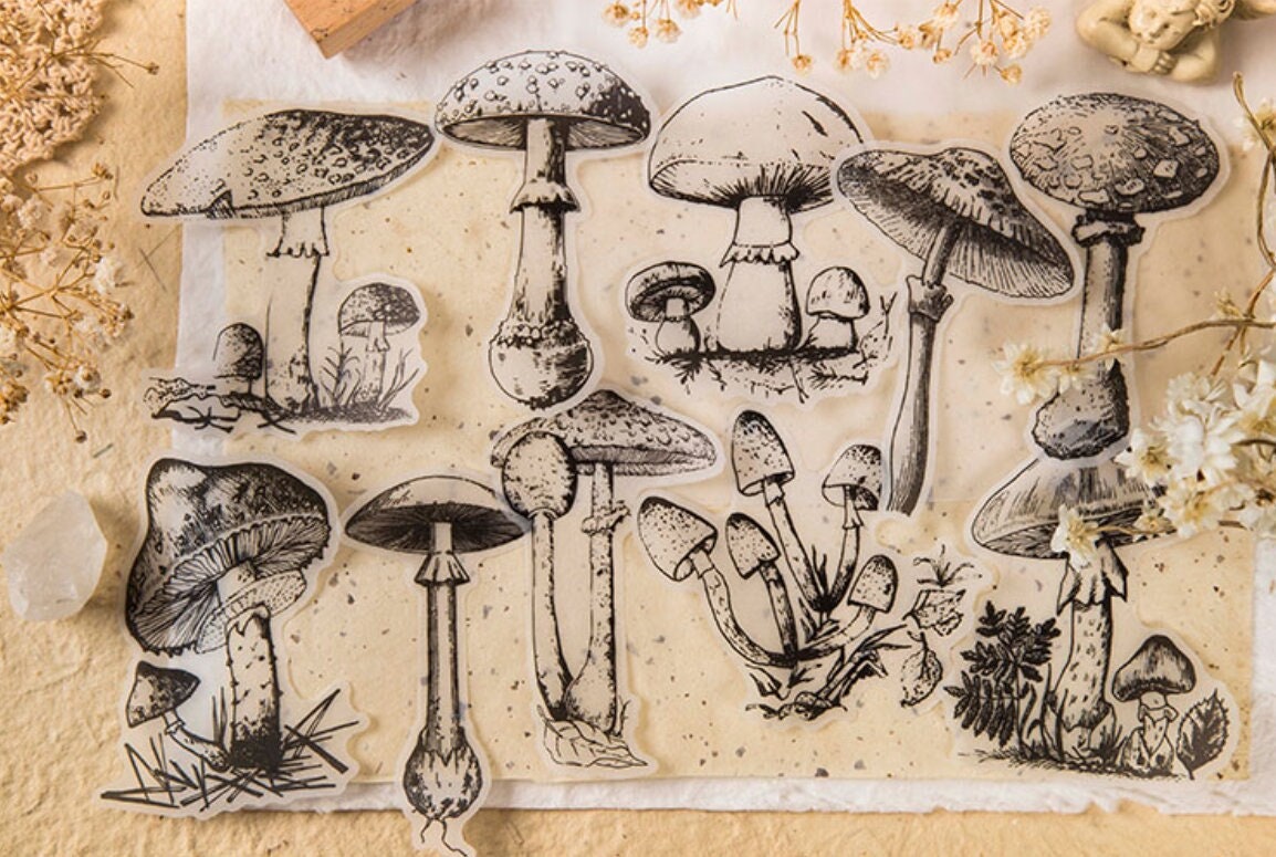 Autocollant champignon decoration - Sticker A moi Etiquette & Autocollant