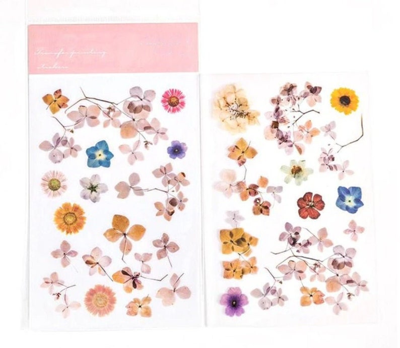 on blooms botanicals filofax flowers rub on sticker scrapbook bullet journal floral transfer sticker leaf print leaves garden scrapbooking paper party kids jan takayama com