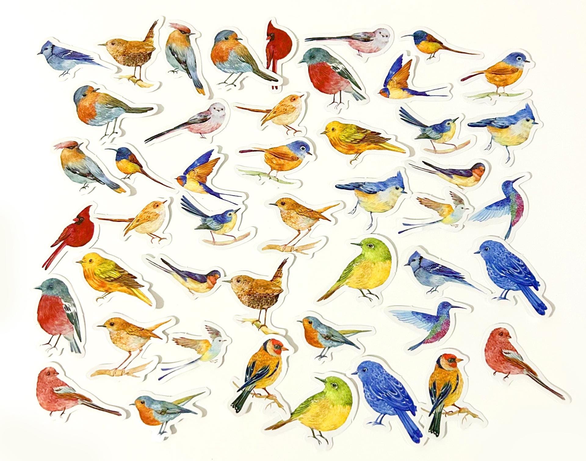 45 Pcs Birds Sticker Pack, Bird Sticker, Birds in Flight, Scrapbook ...