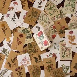 80 Stück Retro Blumen Junk Journal Kit, Journal Ephemera, journal, Scrapbook Papier, Blumen, Blumen, Rosen, Gänseblümchen, Hortensien, Florist