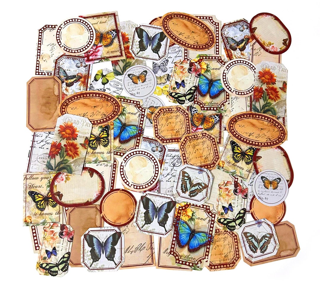 Set Cupole Trasparenti E Fustelle Per Carte Shaker - 10 Cupole 3.5" E 17 Fustelle Cerchio, Per Scrapbooking