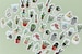 45 Pcs Cactus Sticker, Cacti Sticker Flakes, Potted Plants Filofax Stickers, Scrapbook, Succulents Schedule Sticker,Flower Leaves,Watercolor 