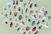 45 Pcs Cactus Sticker, Cacti Sticker Flakes, Potted Plants Filofax Stickers, Scrapbook, Succulents Schedule Sticker,Flower Leaves,Watercolor