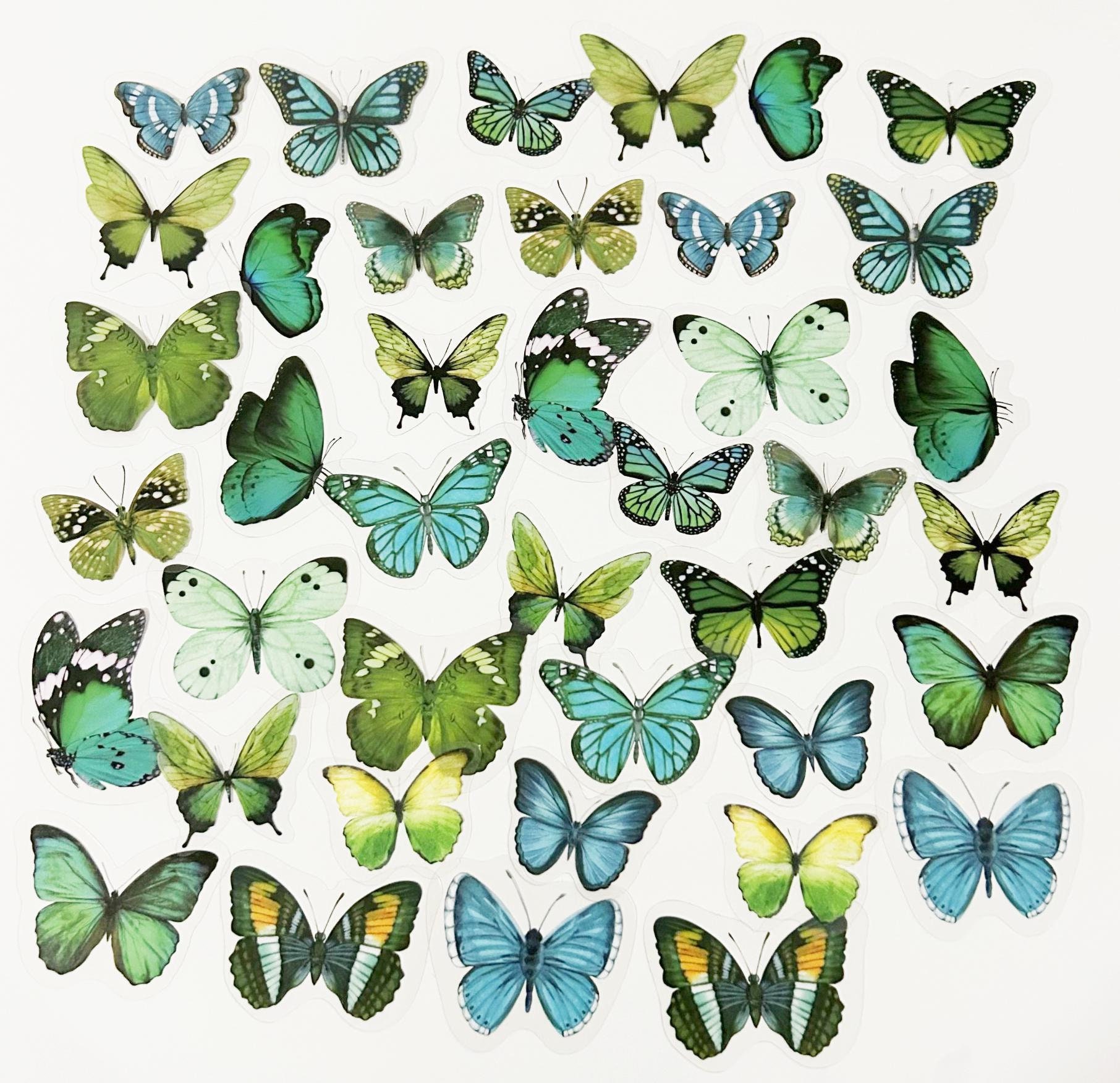 40 Pcs Green Butterfly Clear Sticker, Butterflies Clear Sticker, journal, Journal Ephemera, Insects, Garden, Nature, Specimen, Wings