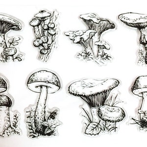 Button Mushroom Stamp, Mushroom Clear Transparent Stamp, Fungi Rubber Stamp, Planner journal, Fungus, Food, Nature, Forest, Gnome image 2