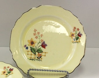 One W. S. George LIDO Canarytone 6 3/8&quot; Salad Plates/Saucers, Beautiful Flowers with Lattice Work, Red Purple Yellow Blue Green Flowers