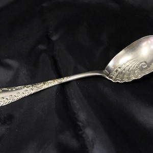 May include: A silver sugar spoon with an ornate, detailed design on the handle and a scalloped edge on the bowl.