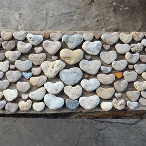 Könnte beinhalten: Eine Ansammlung zahlreicher kleiner, natürlich geformter herzähnlicher Steine in verschiedenen Beige-, Grau- und Brauntönen. Diese glatten, verwitterten Kiesel sind in einer dichten, rechteckigen Gruppe angeordnet und zeigen vielfältige Texturen.