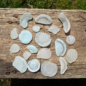 19 Fragments of White Bottle Bottoms, Authentic Sea glass, Beach Glass, Collectible Beach Finds, Craft Supply