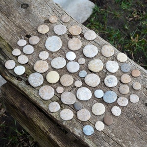 May include: A collection of numerous small, smooth, rounded river stones in various shades of beige, tan, gray, and white. The stones are scattered across the surface of a weathered, textured wooden plank with visible grain and dark knots.