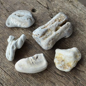 Rare Sea Beach Pebbles, Collectible Stones, Beach Decor