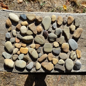 Black Sea Pebbles: 70pc Mushroom Stones, Craft & Aquarium Decor