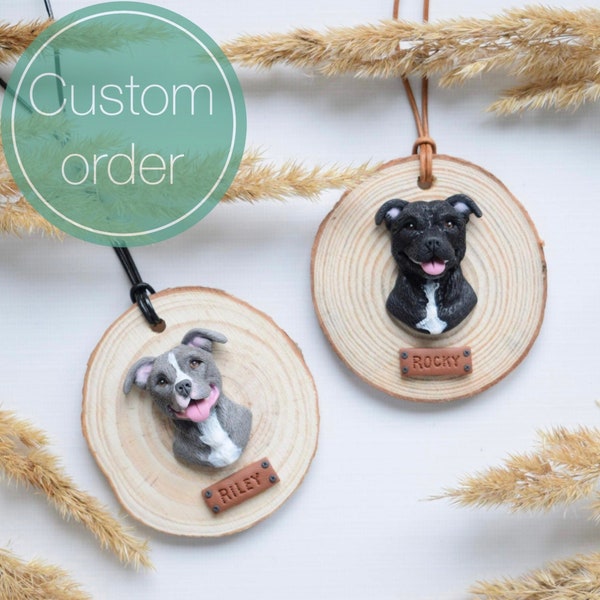 Custom ornament with YOUR pet