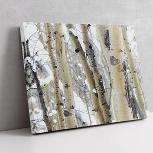 Aspen Tree Trunks in Winter, Canvas Nature Photography, Colorado Wall Art, Mountain Decor, White Birch Art Print, Wall Decor, Neutral Decor