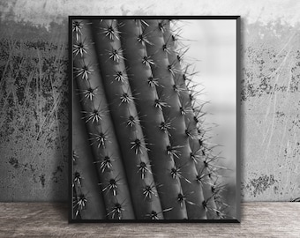 Cactus Photo, Wall Art Print, Black and White, Nature Photography, Southwest Decor, Wall Decor, Nature Decor, 16x20 Living Room Art