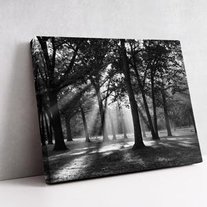 A hand-stretched gallery wrapped canvas of a woodland forest scene displayed leaning on a wall.