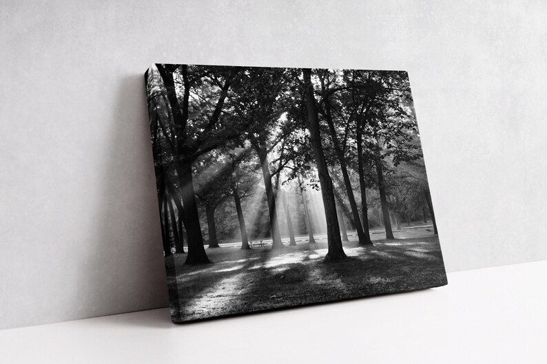 A hand-stretched gallery wrapped canvas of a woodland forest scene displayed leaning on a wall.