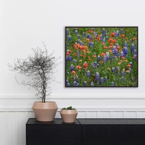 Impresión artística de lupinos de Texas y pincel indio, fotografía de campo de flores silvestres, decoración de pared de la región montañosa de Texas, lienzo o impresión en metal. imagen 3