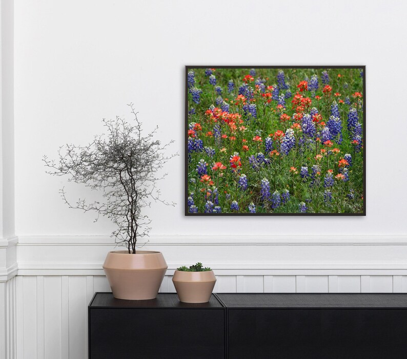 Impresión artística de lupinos de Texas y pincel indio, fotografía de campo de flores silvestres, decoración de pared de la región montañosa de Texas, lienzo o impresión en metal. imagen 3