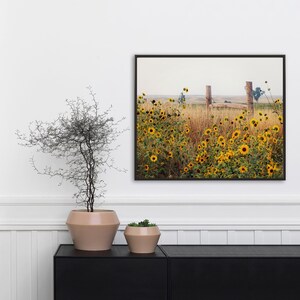 Field of Sunflowers Wall Art, Canvas Wrap Wall Decor, Sunflower Decor Metal Print, Landscape Photography, Farmhouse Home Decor image 3