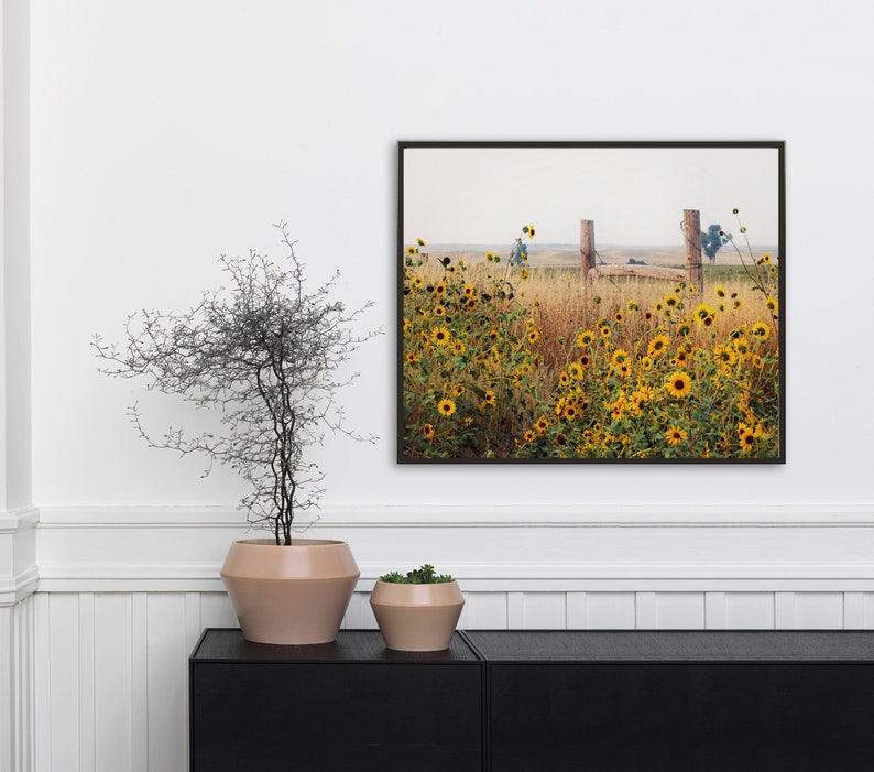 Field of Sunflowers Wall Art, Canvas Wrap Wall Decor, Sunflower Decor Metal Print, Landscape Photography, Farmhouse Home Decor image 3