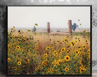 Field of Sunflowers Wall Art, Canvas Wrap Wall Decor, Sunflower Decor Metal Print, Landscape Photography, Farmhouse Home Decor