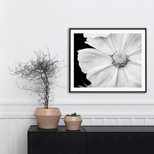 Black and White Nature Photography, White Flower Photo, Macro Flower, Photo Print, Flower Close Up, White Flower Petals, 16x20 Wall Art image 3